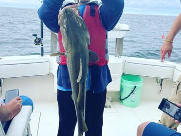 Gloucester Report Photo 1