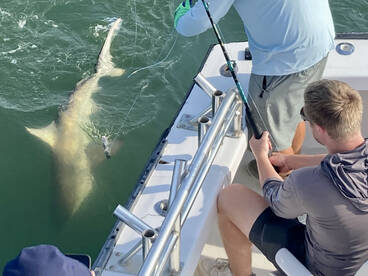 Nags Head Report Photo 1