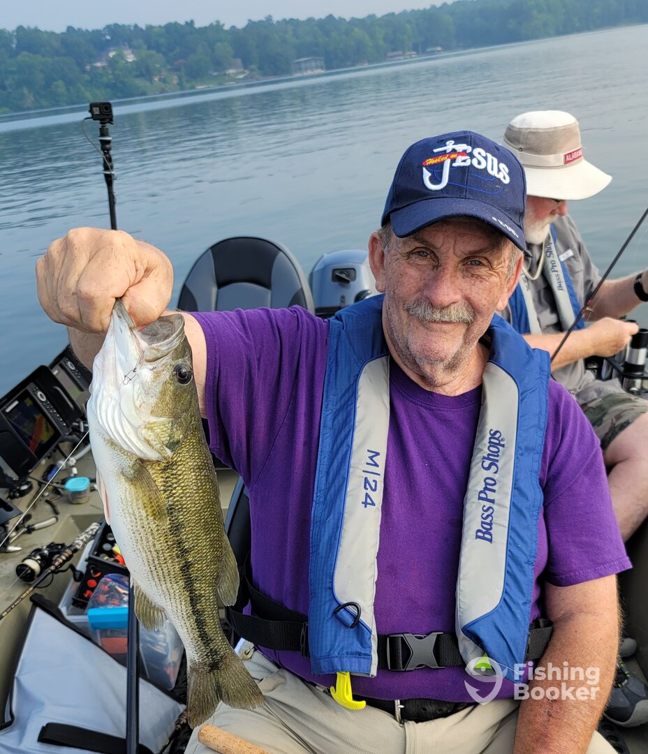 Harrison Report Photo 0