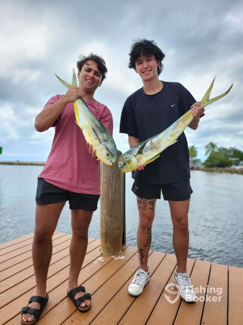 Tavernier Report Photo 0