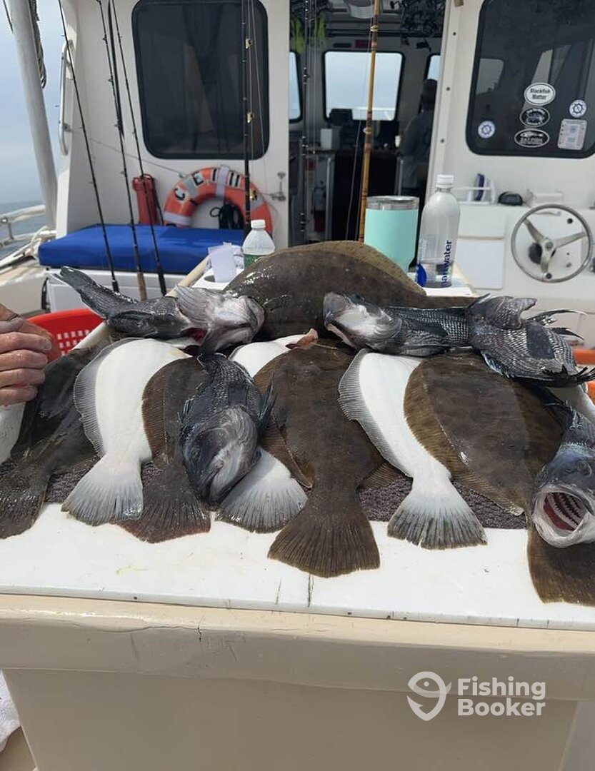 Montauk Report Photo 0