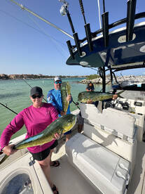 Puerto Aventuras Report Photo 1