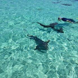 Roatan Report Photo 2