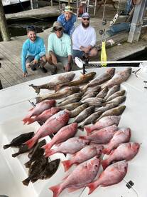 Venice Report Photo 2