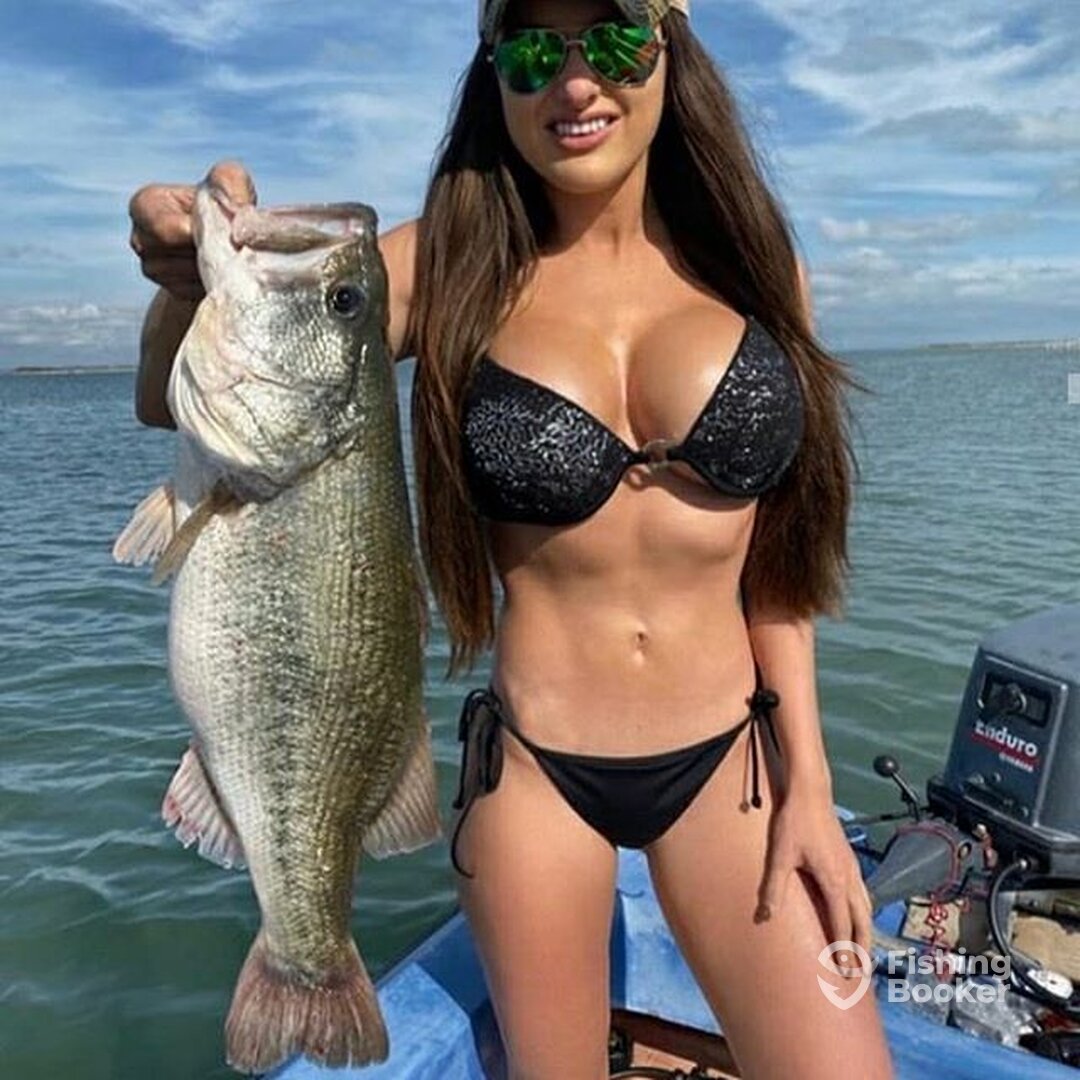 Kissimmee Report Photo 0