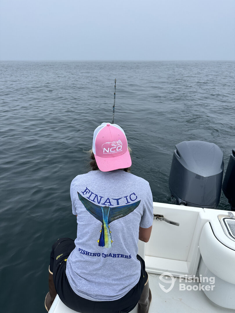 Chatham Report Photo 0