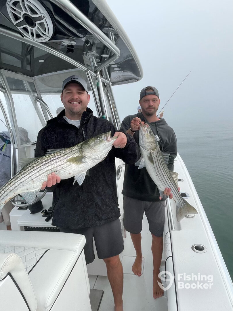 Chatham Report Photo 0