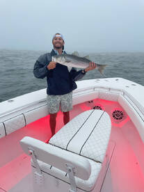 Chatham Report Photo 1