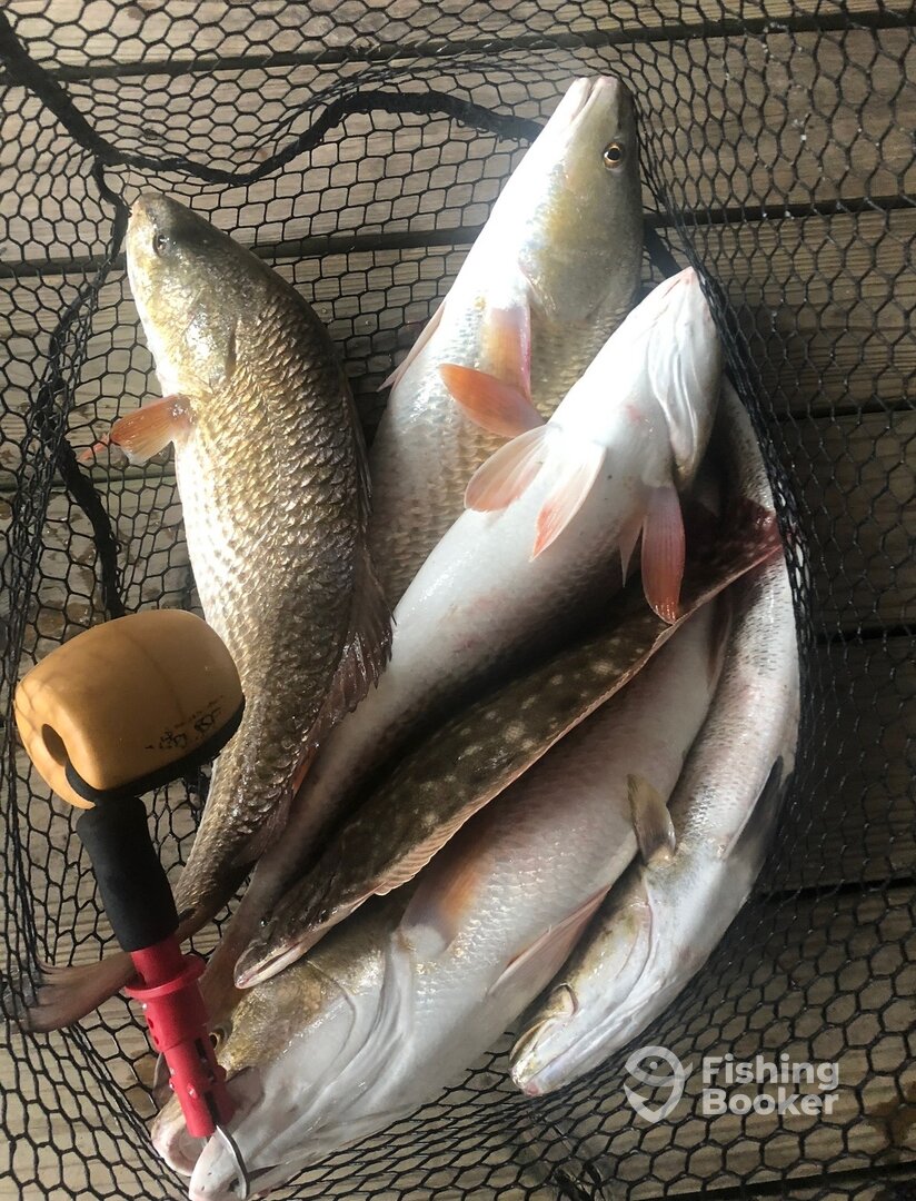 Houston Report Photo 0