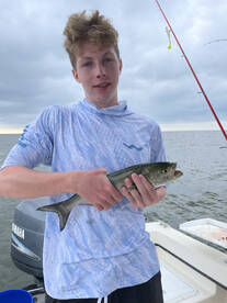 Wanchese Report Photo 2