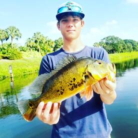 Delray Beach Report Photo 1