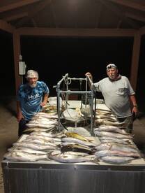 Great striped bass action continues on l