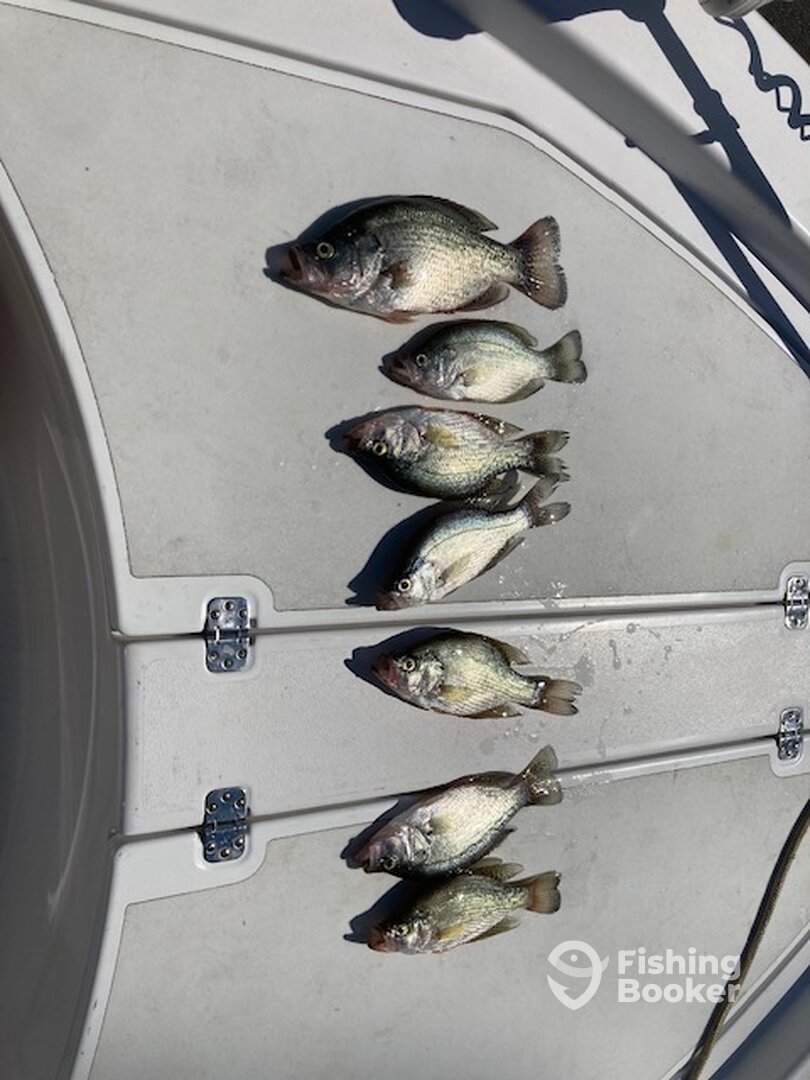 Randleman Report Photo 0