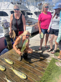 Nags Head Report Photo 2