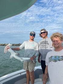 Wow let shark week begin early 