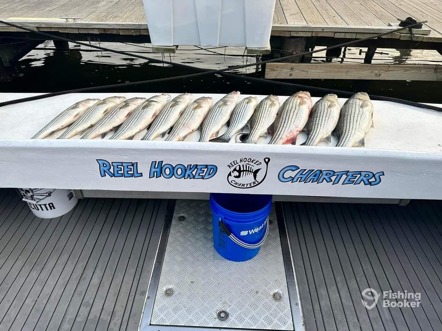 Baltimore Report Photo 0