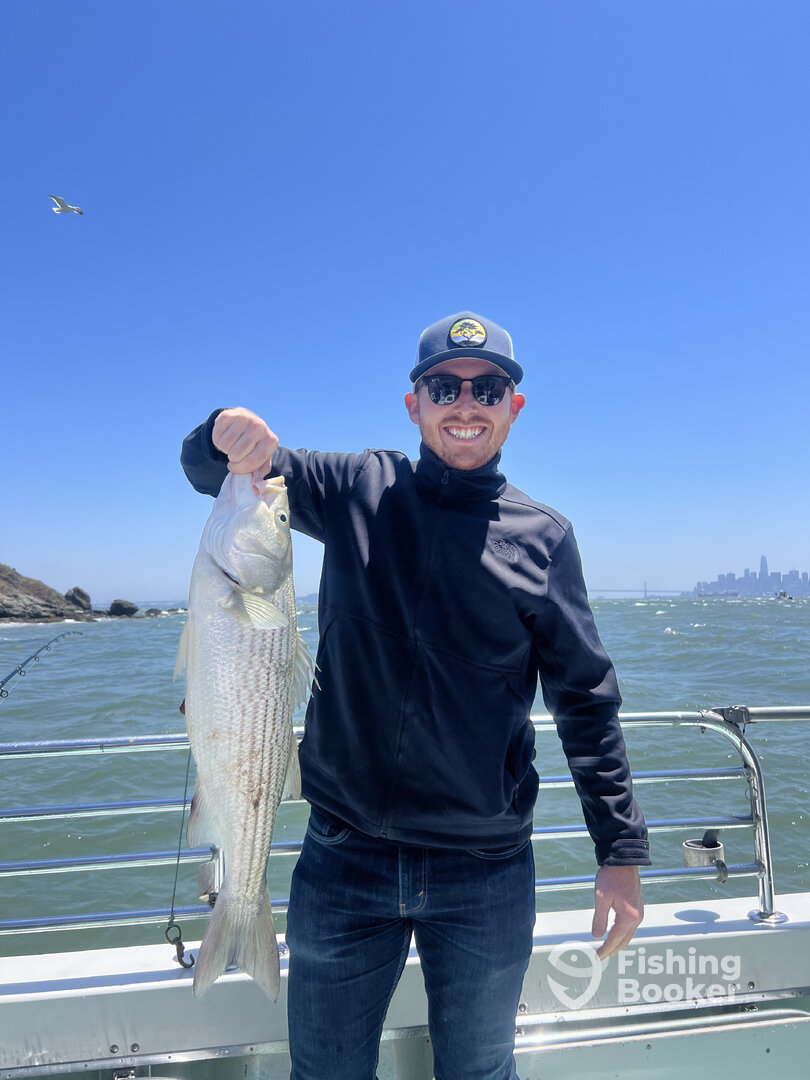 San Francisco Report Photo 0