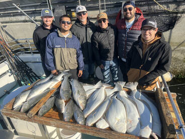 San Francisco Report Photo 1