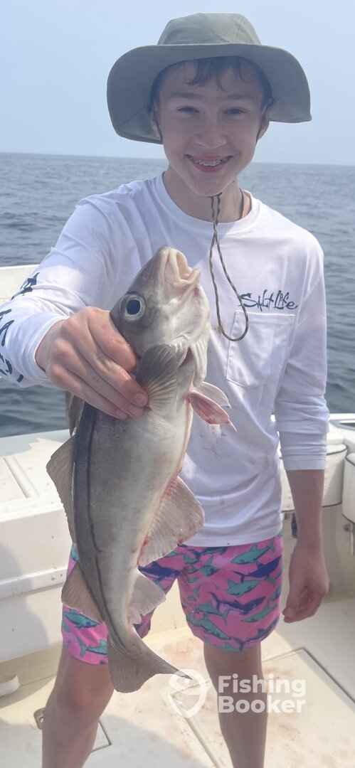 Gloucester Report Photo 0