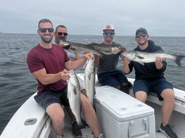 Truro Report Photo 2