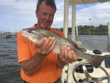 Red fish chewin in January 