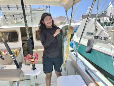 marlin and mahi mahi