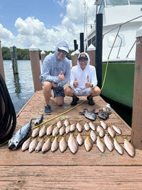 Dania Beach Report Photo 1