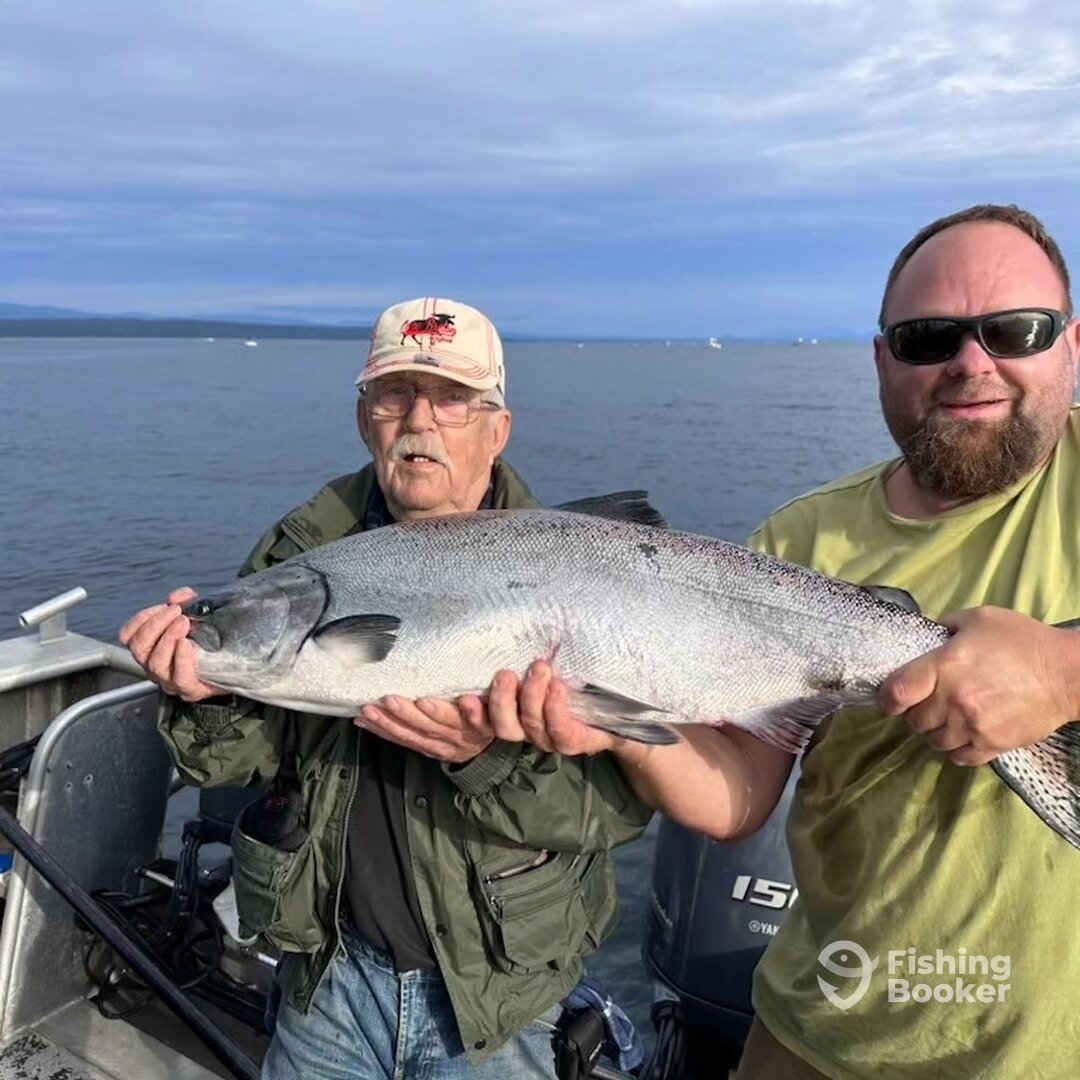 Comox Report Photo 0