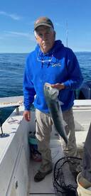 Seabass fishing is on fire 