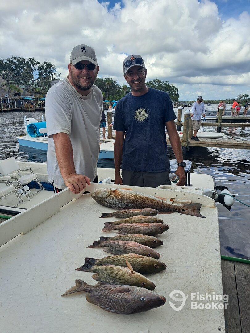 Homosassa Report Photo 0