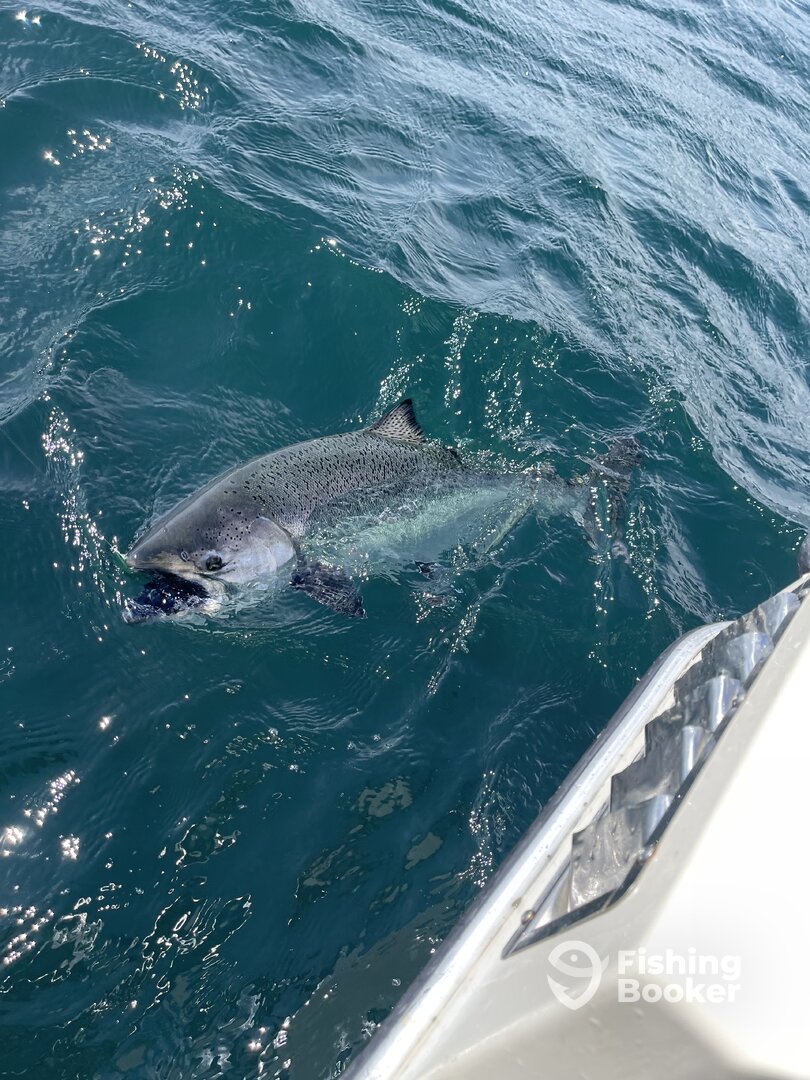 Sooke Report Photo 0