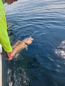 Panama City Report Photo 1