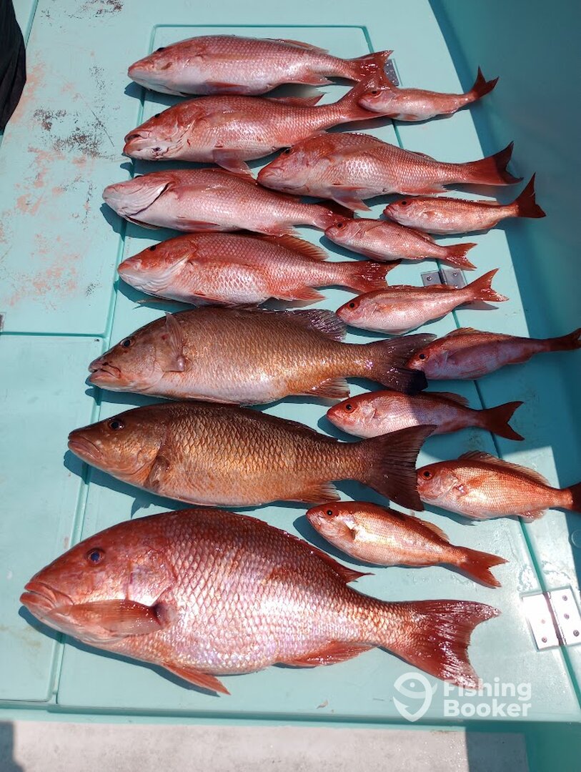 Destin Report Photo 0