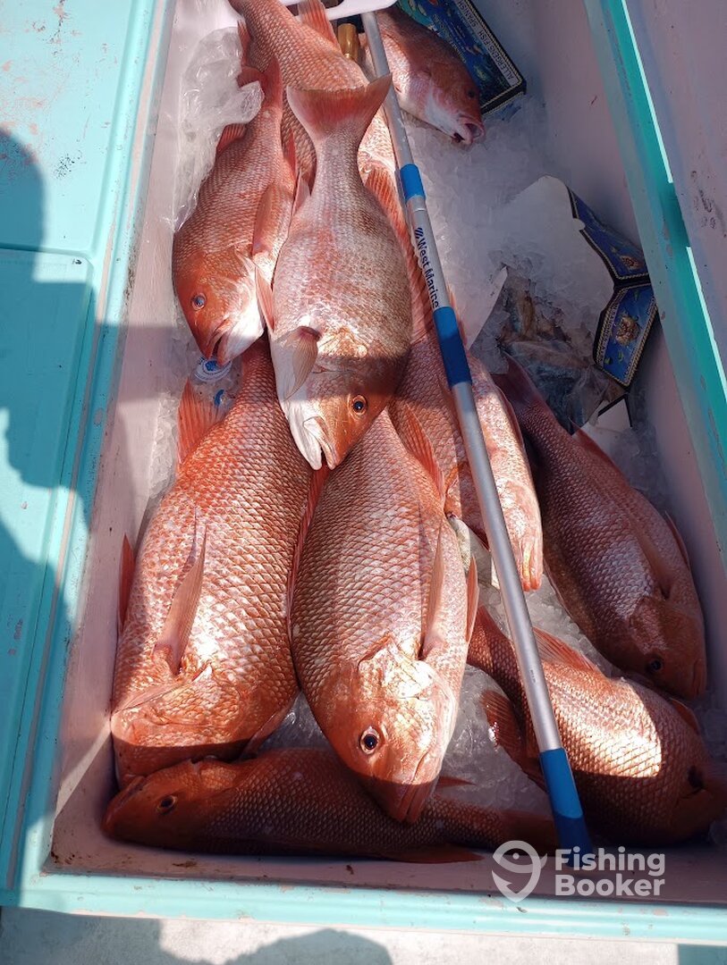 Destin Report Photo 0