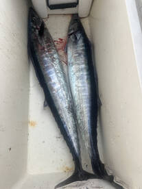 West Palm Beach Report Photo 2