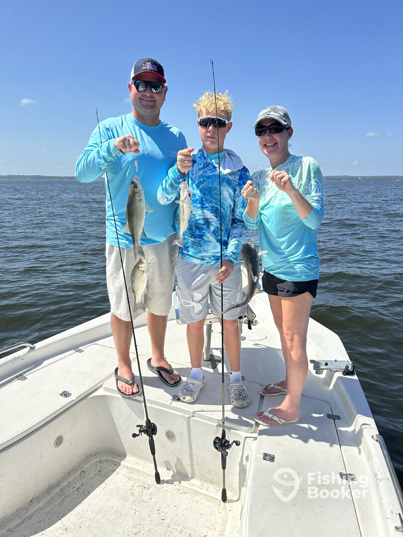 Livingston Report Photo 0