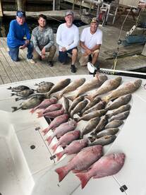 Venice Report Photo 2