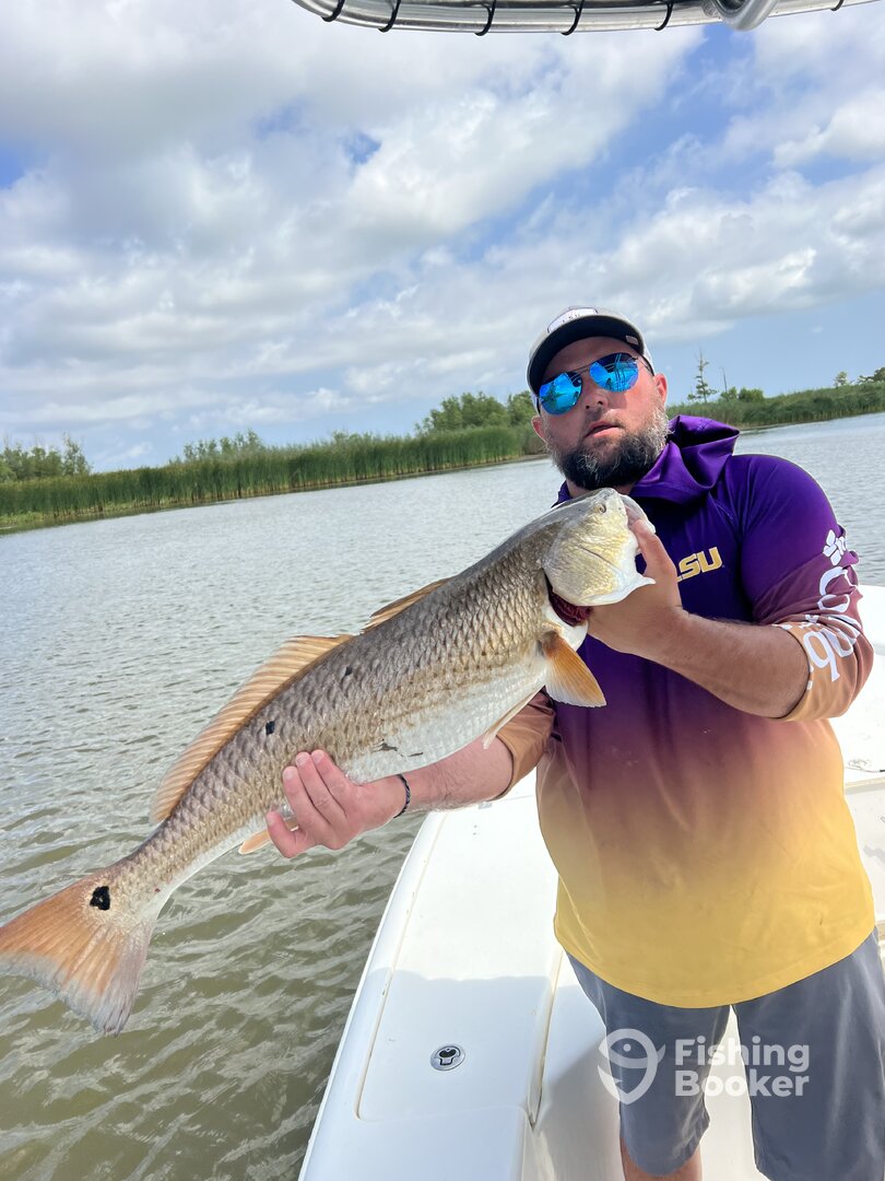 Venice Report Photo 0