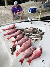 Venice Report Photo 2