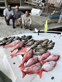 Venice Report Photo 2