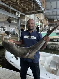 Venice Report Photo 1