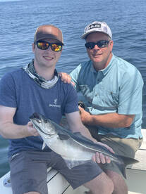 Gloucester Report Photo 1