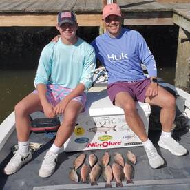 Mangrove snapper bite is on fire!!!