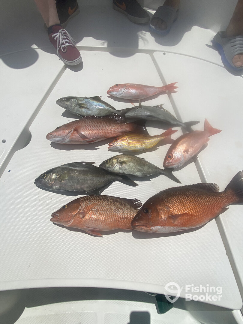 Port Orange Report Photo 0