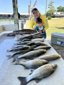 Livingston Report Photo 1