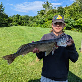 Largest walleye of the season!