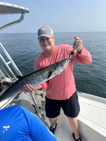 Palm Coast Report Photo 2