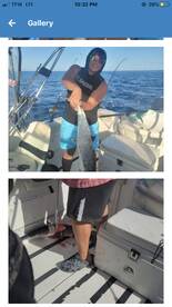 3/4 day king mackerel and cuda