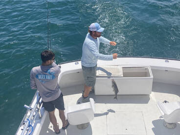 Great half day action!