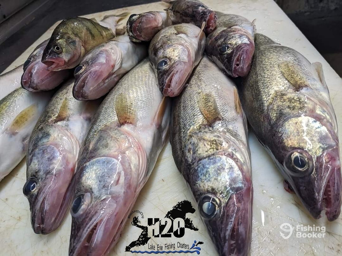 Lakeside Marblehead Report Photo 0